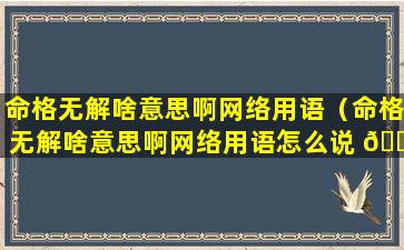 命格无解啥意思啊网络用语（命格无解啥意思啊网络用语怎么说 🐳 ）